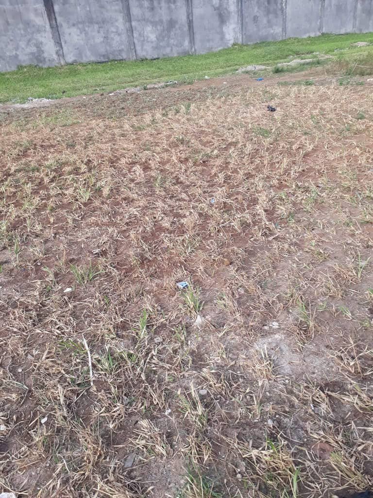 gallery gallery-image