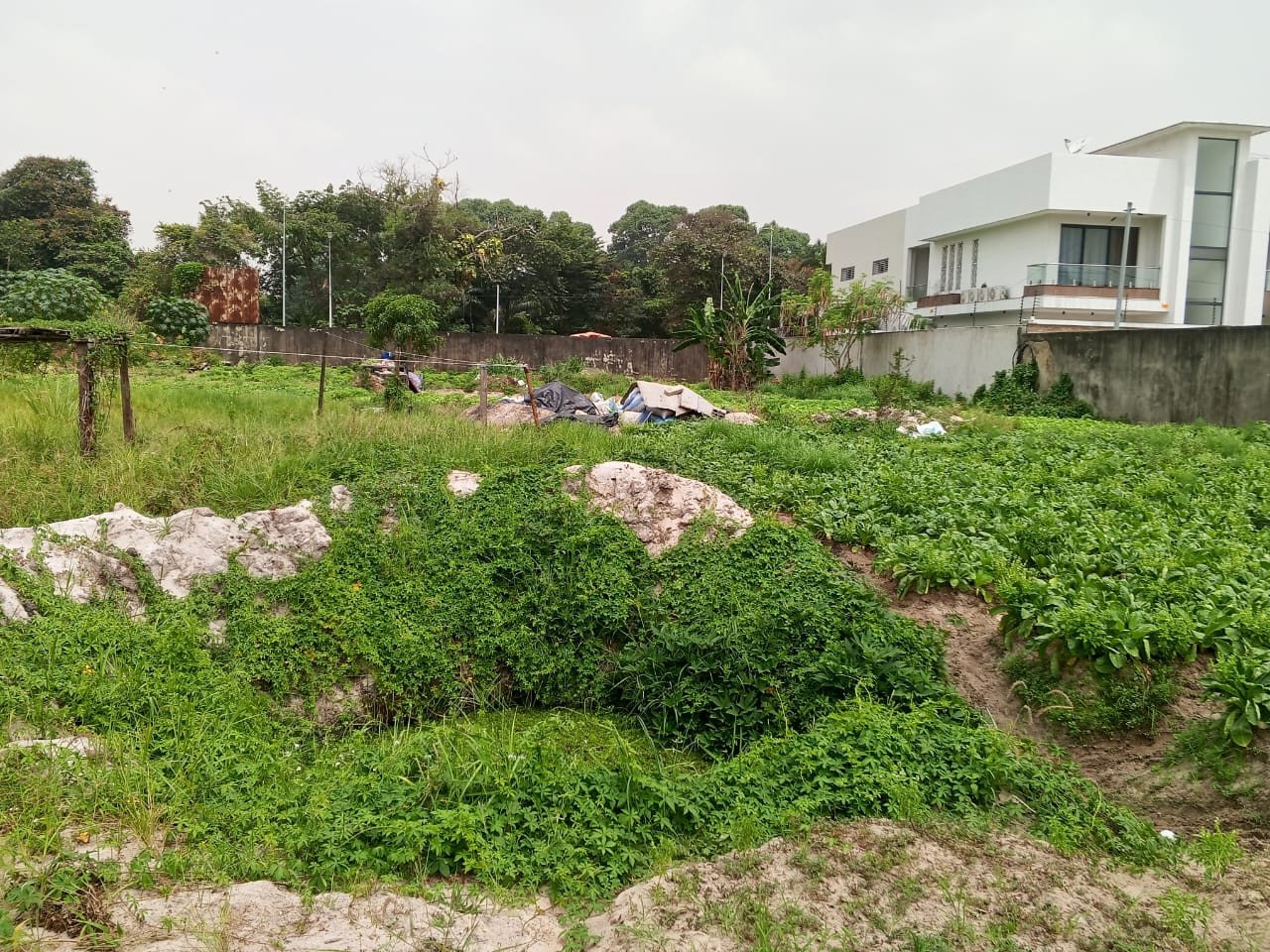 gallery gallery-image